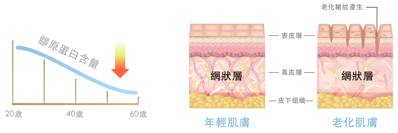 作用層次與溫度:真皮網狀層為主,或進一步加熱到皮下