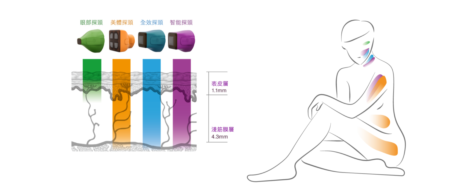 鳳凰電波4大探頭與應用部位